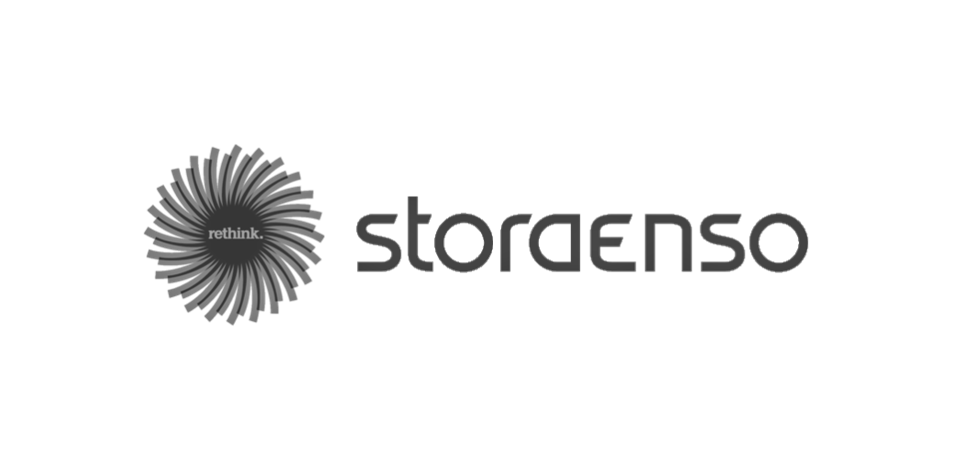 logo Storaenso
